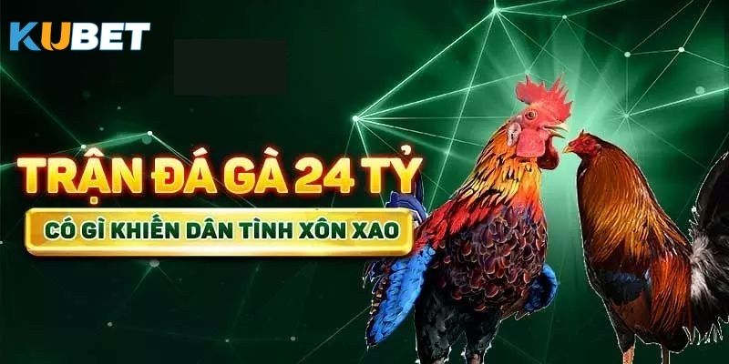 Cách thức đặt cược trận đá gà 24 tỷ