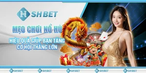 Mẹo Chơi Nổ Hũ Hiệu Quả Giúp Bạn Tăng Cơ Hội Thắng Lớn